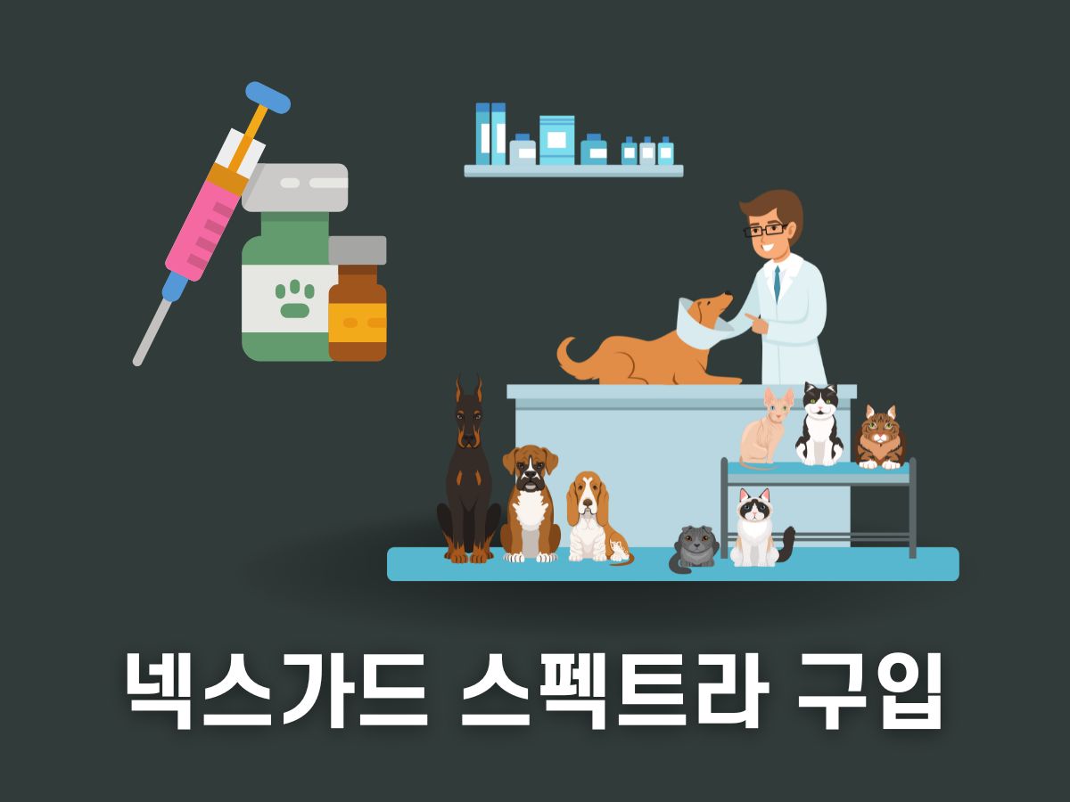 넥스가드 스펙트라 구입