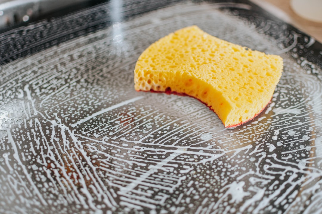 Sponge