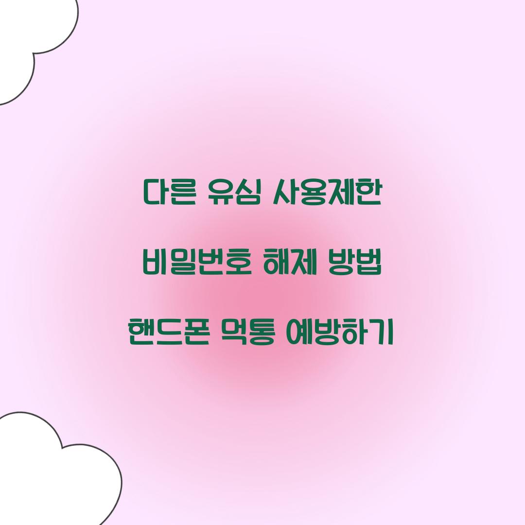 다른 유심 사용제한 비밀번호