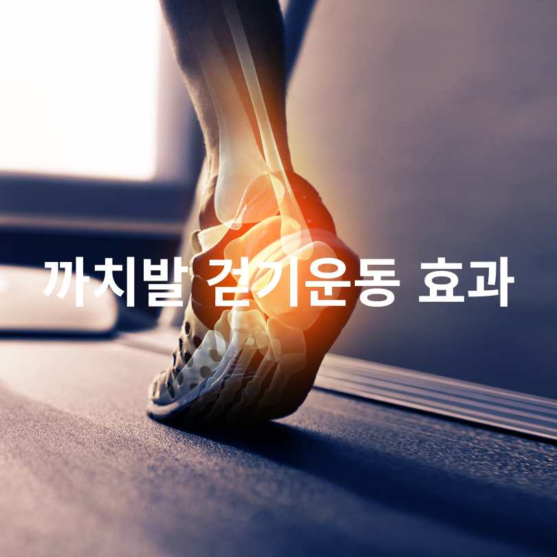까치발 걷기 운동의 놀라운 효과!
