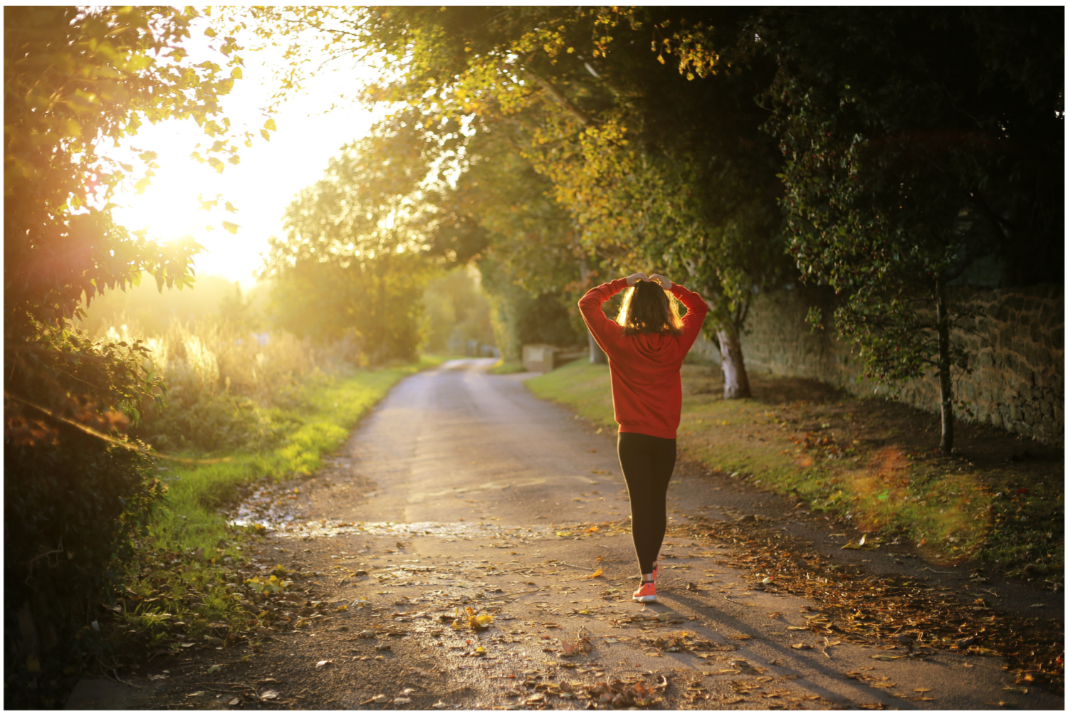 워크온 앱 사용법: 설치, 활용, 포인트 받기