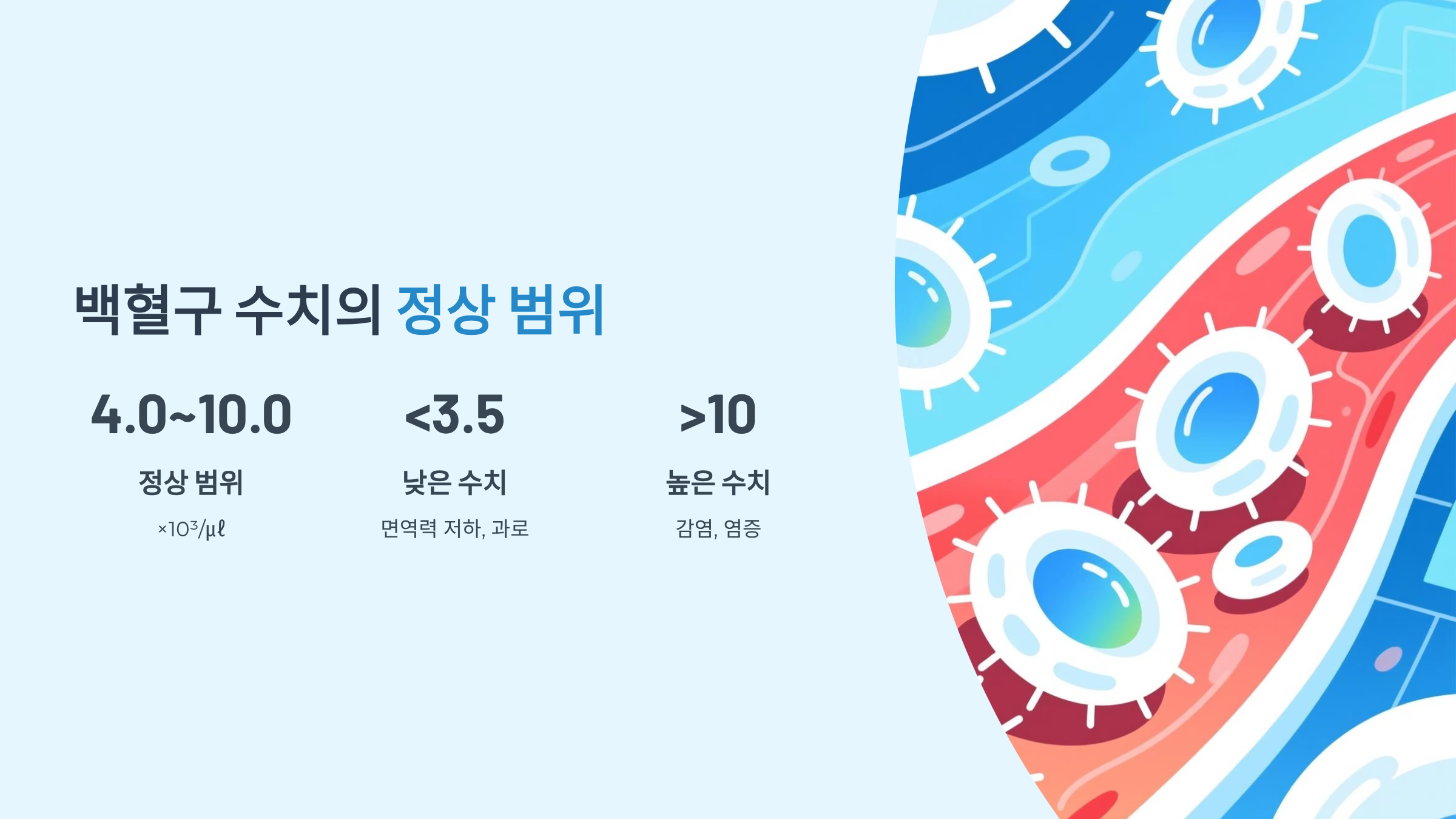 백혈구 수치, 정상 범위 내용정리
