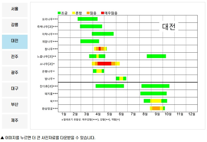 꽃가루 달력