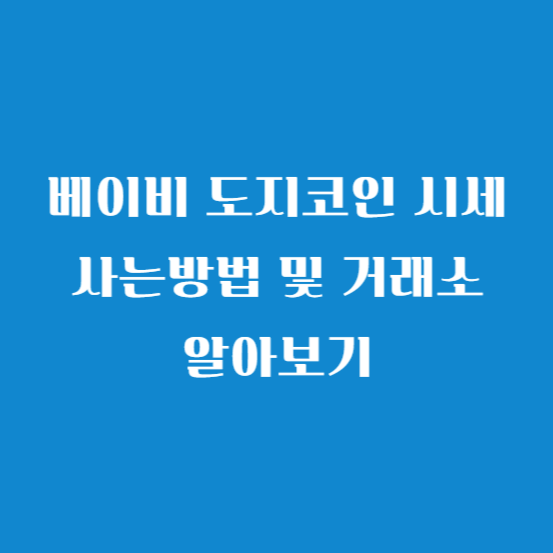 베이비 도지코인 시세 사는방법 및 거래소 알아보기