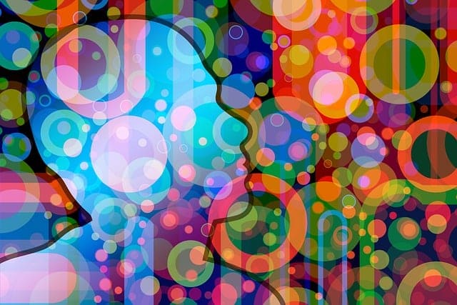 화학적 감각의 이중주: 미각과 후각의 분자적 기전과 통합적 인지