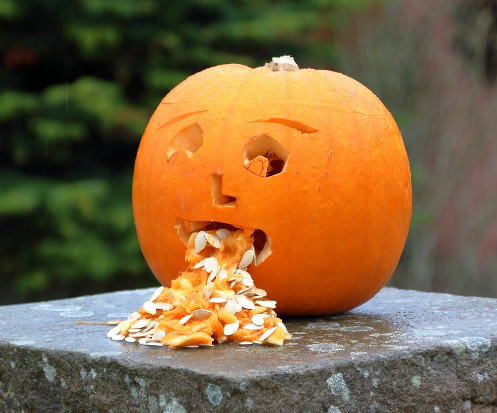 노로바이러스 구토