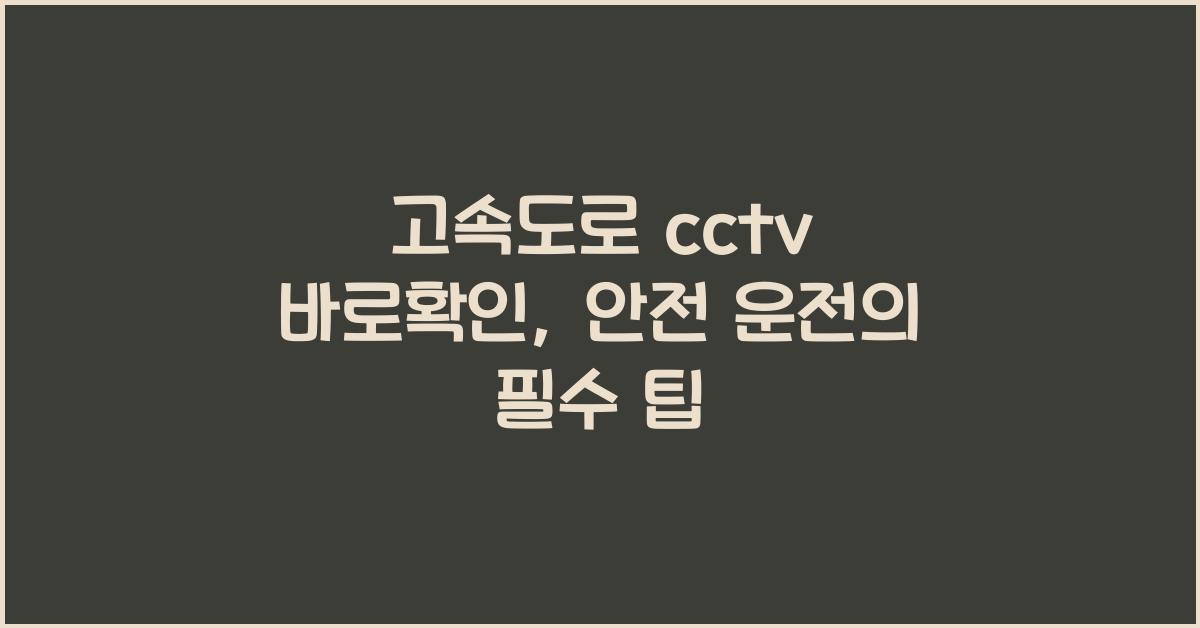 고속도로 cctv 바로확인