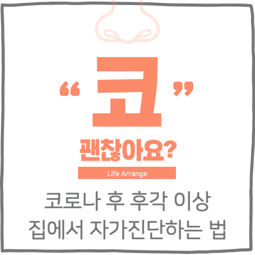 후각 이상 자가진단