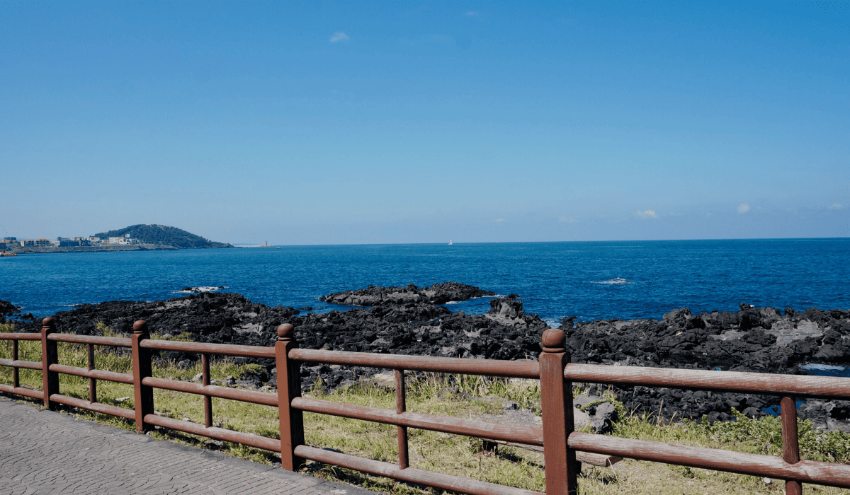 제주_렌트카_비교사이트_5