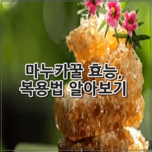 마누카꿀 효능, 복용법 알아보기