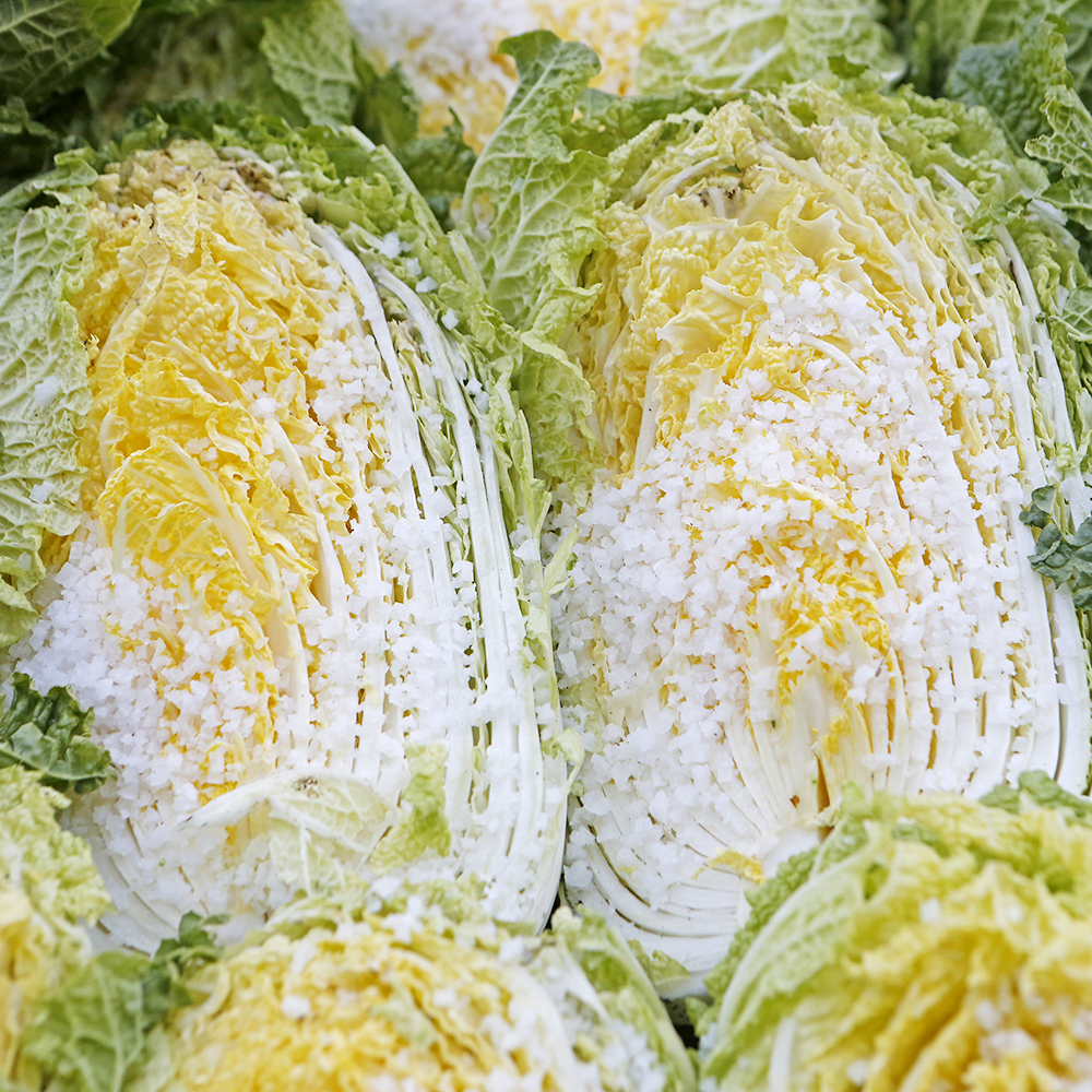 2025 청원생명축제&amp;#44; 가족 농촌체험