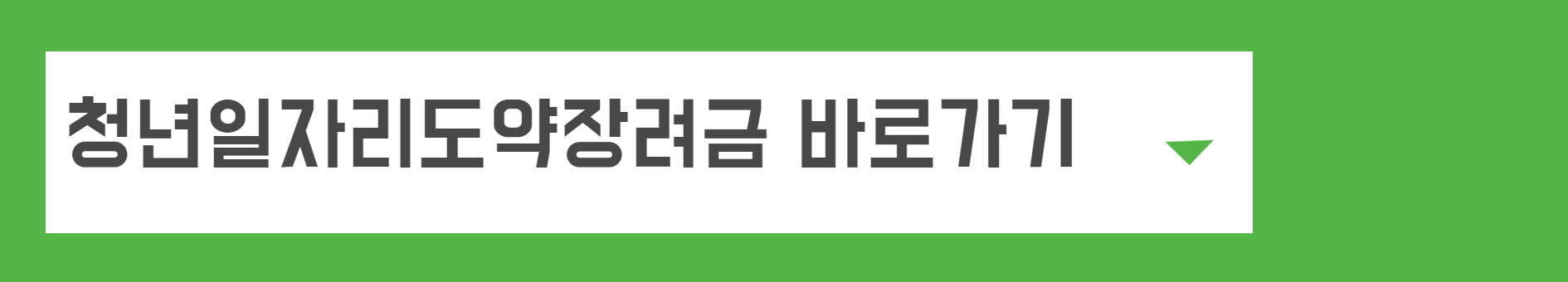 청년일자리도약장려금