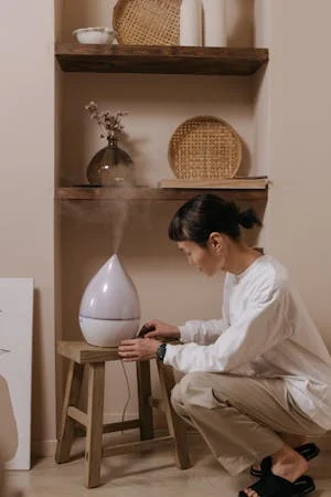 초음파 가습기