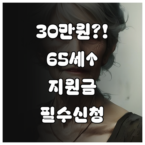 만 65세 이상 건강지원금 30만 원..