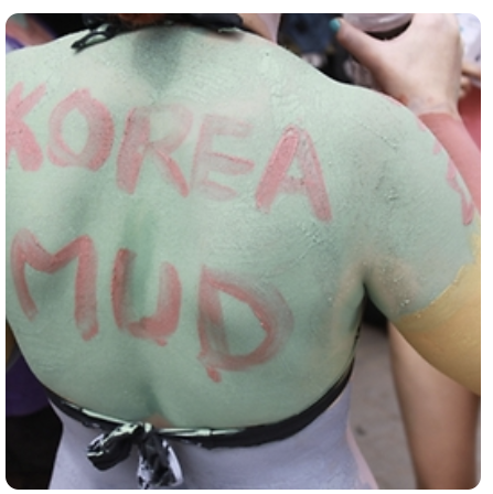 보령머드축제