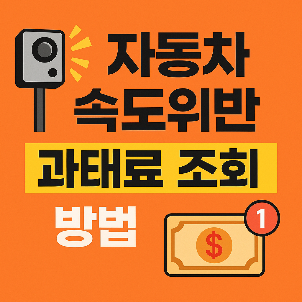자동차 속도위반