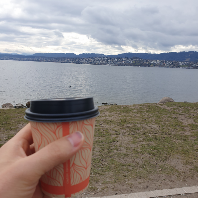 스위스 취리히호른 호수 Hot 아메리카노 4.5 CHF