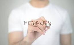 메타볼리즘