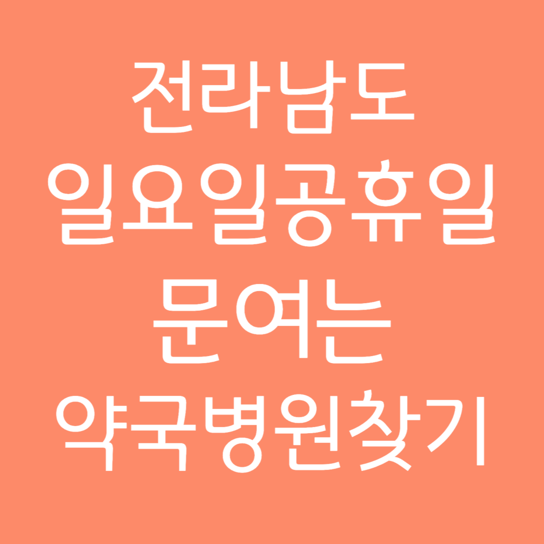 전라남도 일요일 공휴일 문여는 약국병원 찾기