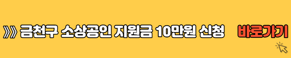 금천구 소상공인 지원금