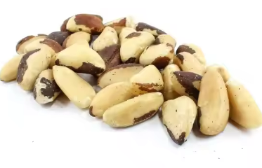 견과류와 씨앗(2)