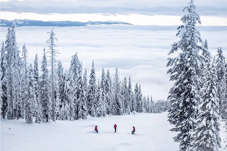 2025 겨울 스키장 개장일 & 할인카드 전략|휘닉스파크·용평리조트·비발디파크·하이원리조트 관련 사진