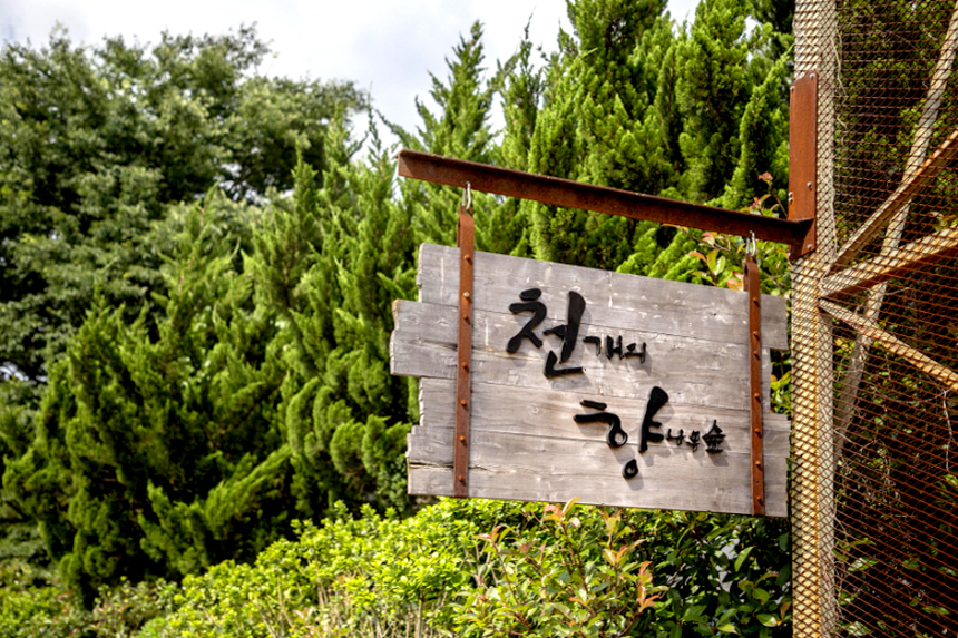 특색있고 아름다운 민간 정원 30선 추천 여행 - 30. 구례 천개의 향나무숲 정원