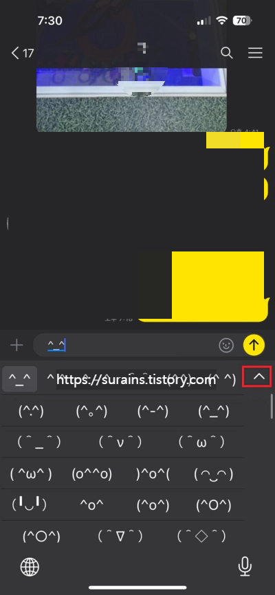 아이폰 숨겨진 특수문자 이모티콘 사용법 설정 모르면 손해