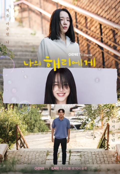 나의 해리에게 드라마 OTT 줄거리 몇부작 시청률 재방송 편성표