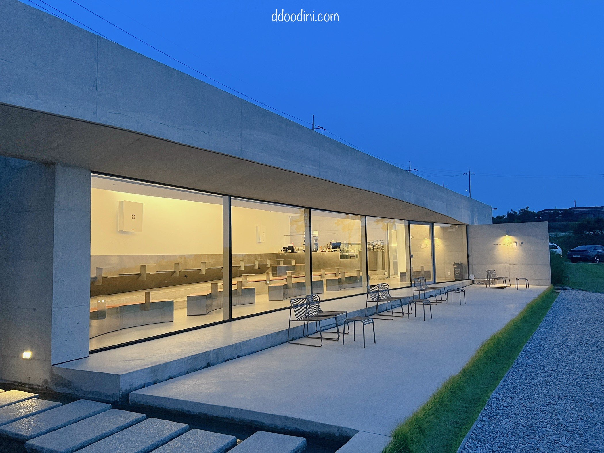 백수해안도로 보리