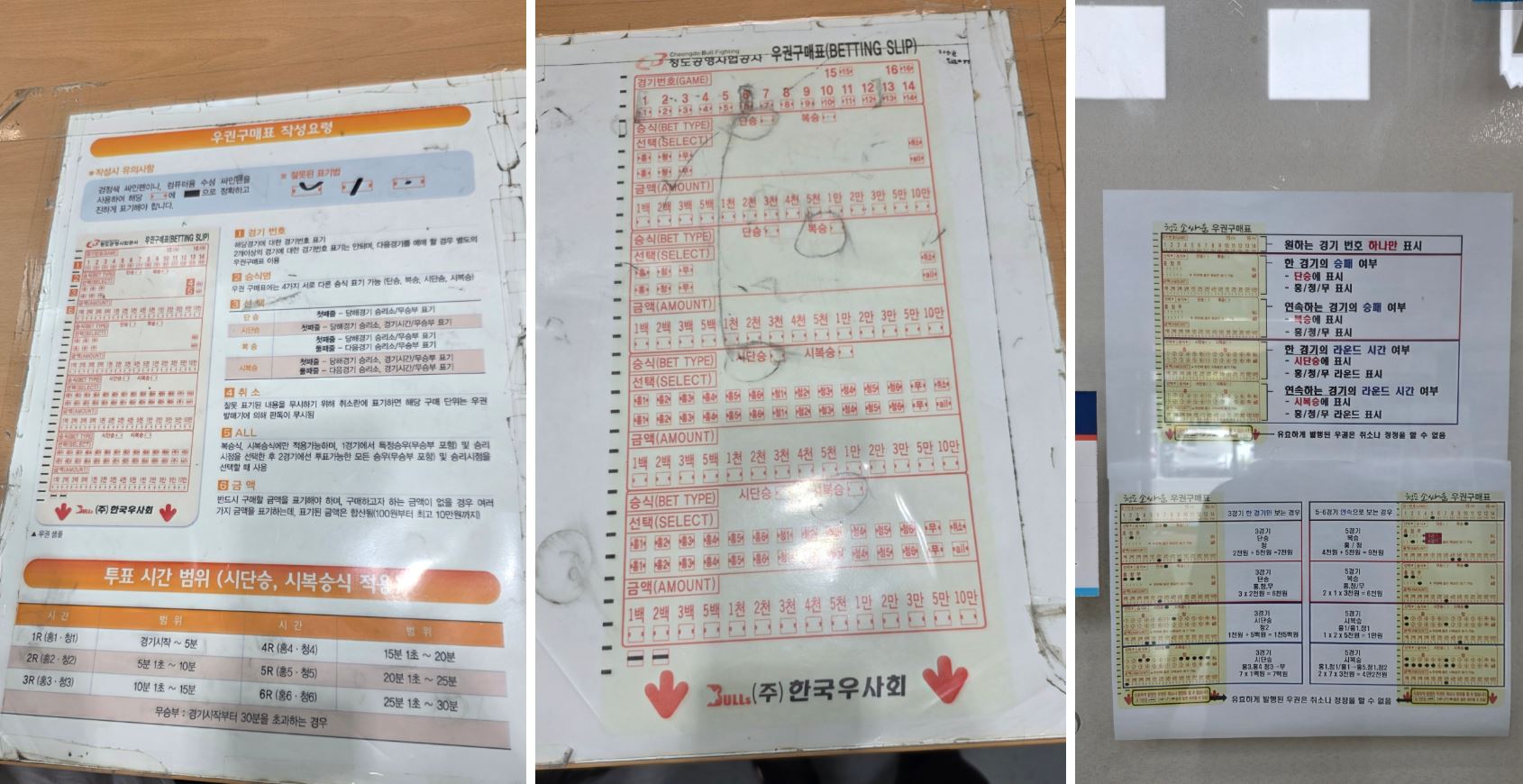 청도 소싸움 경기장