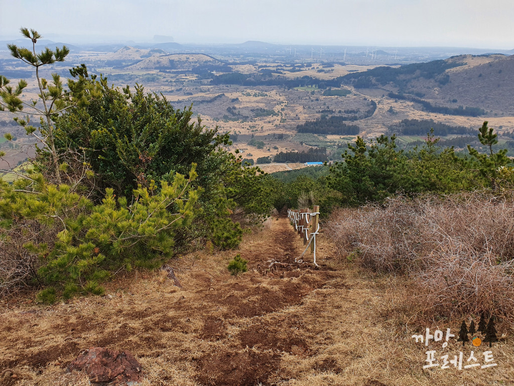 높은 오름 오르막길