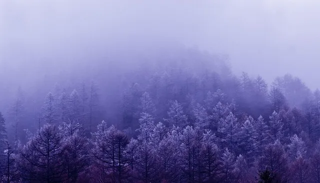익산시외버스터미널 시간표 예매 조회 정리_7