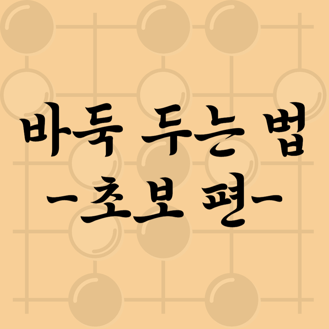 바둑두는법초보