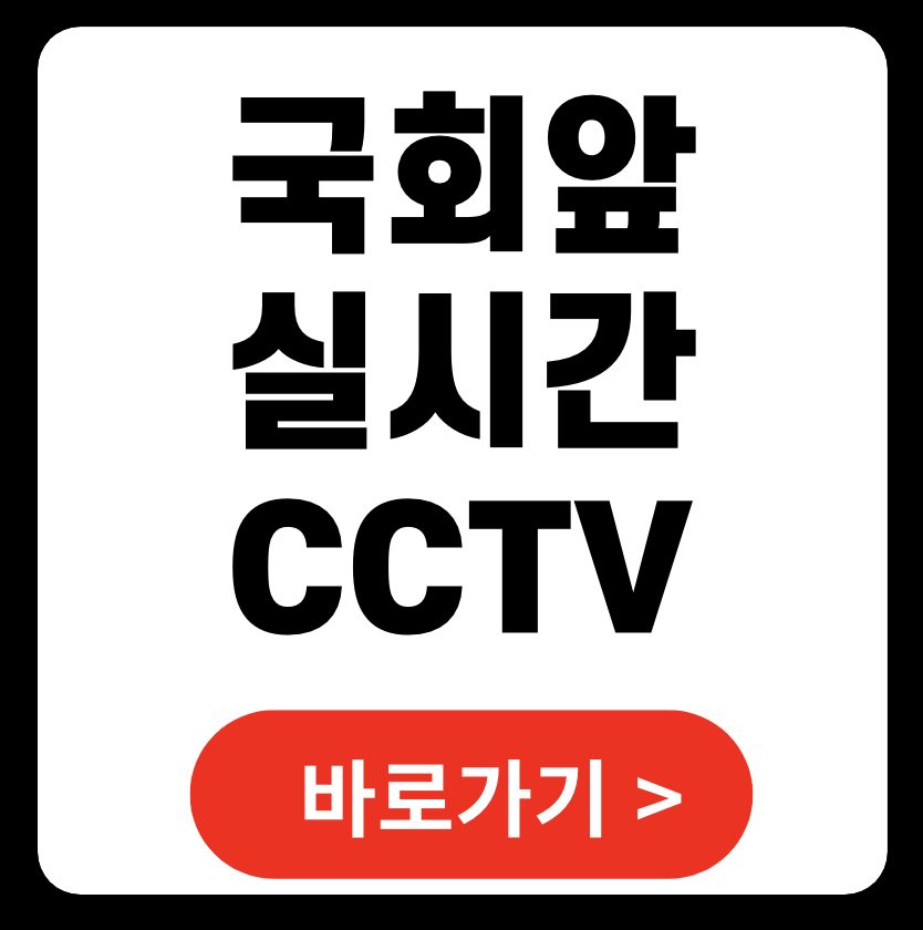 cctv 국회대로 국회도로 국회앞 여의도 실시간 보기 확인 고속도로 모니터링 도로상황 교통상황