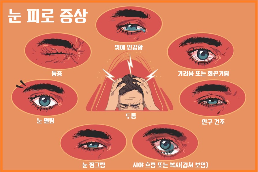 눈 피로 완벽 가이드: 해소와 회복의 모든 것