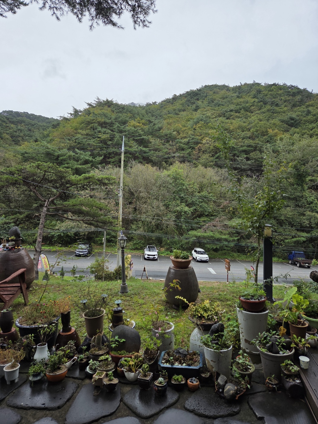제천 화덕피자 맛집