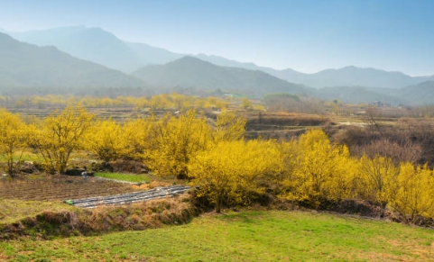 꽃축제가서 예쁘게 찍은 사진