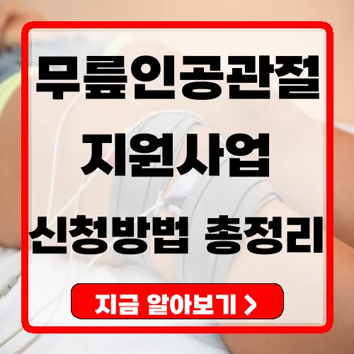 무릎인공관절 지원사업