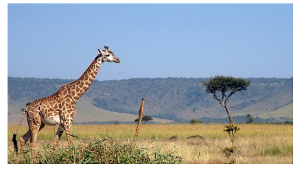 지속 가능한 자연 보호구역: 생태계를 지키는 여행지 10곳
