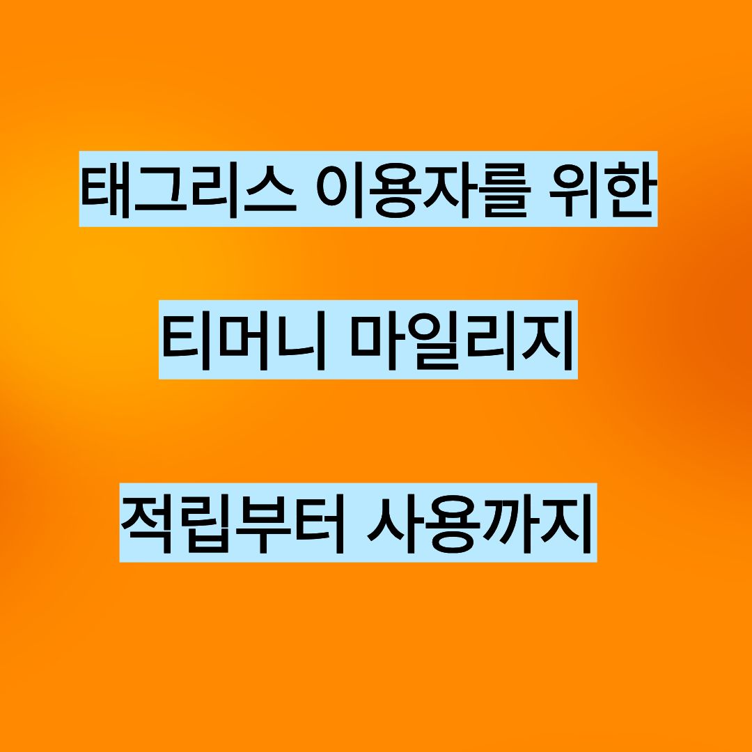 태그리스 이용자를 위한 마일리지 사용법소개