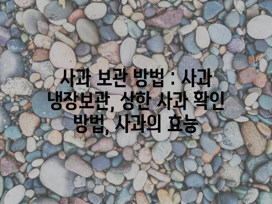 샘플 (82)