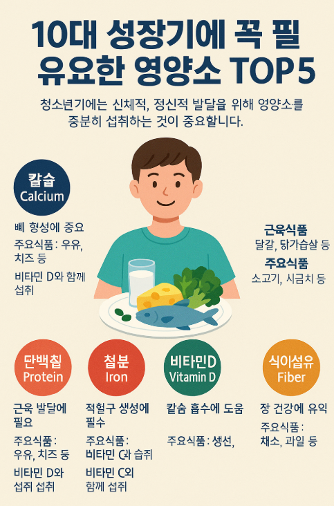 10대 청소년기 성장기 영양소 TOP5