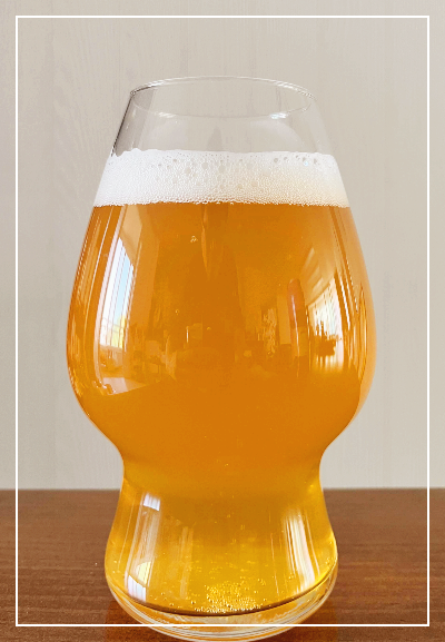 덴마크 맥주 미켈러 IPA