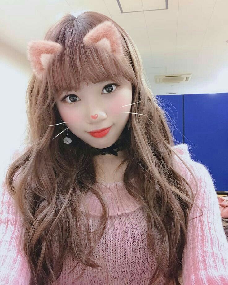 김채원 사진 모음 김채원 사진 모음