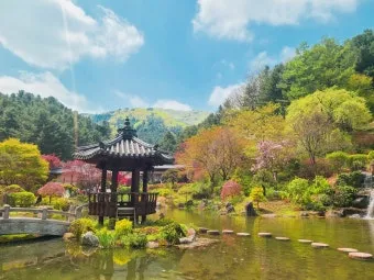 경기도 봄 여행지 추천 10곳 완벽 코스 가이드북_11