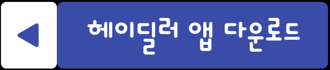 헤이딜러 다운로드