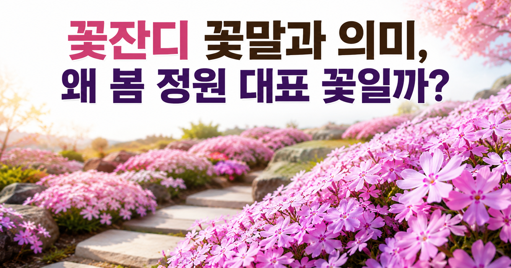 꽃잔디 꽃말