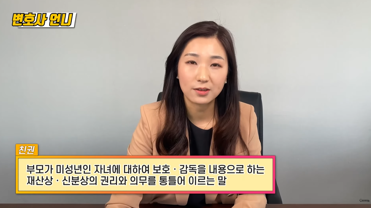 친권 정의