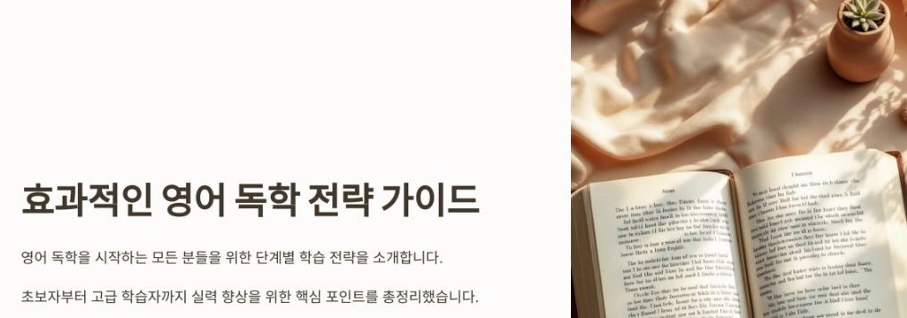 독해 중심 독학 전략 가이드